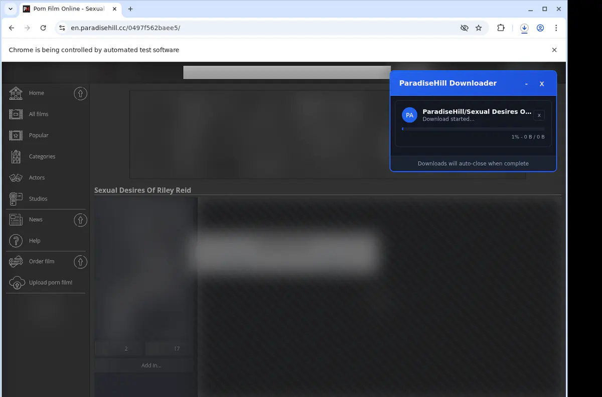 Paradisehill Video Downloader browser extension screenshot 2