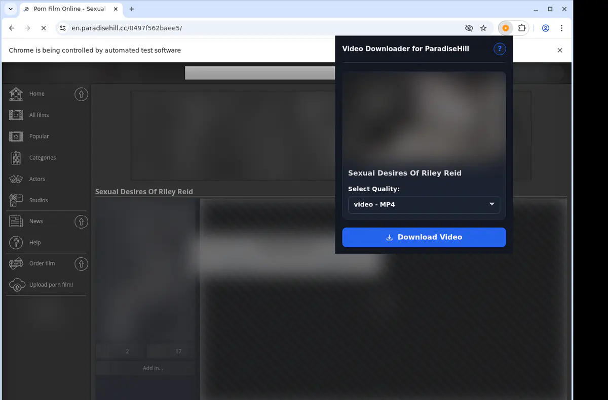 Paradisehill Video Downloader browser extension screenshot 3