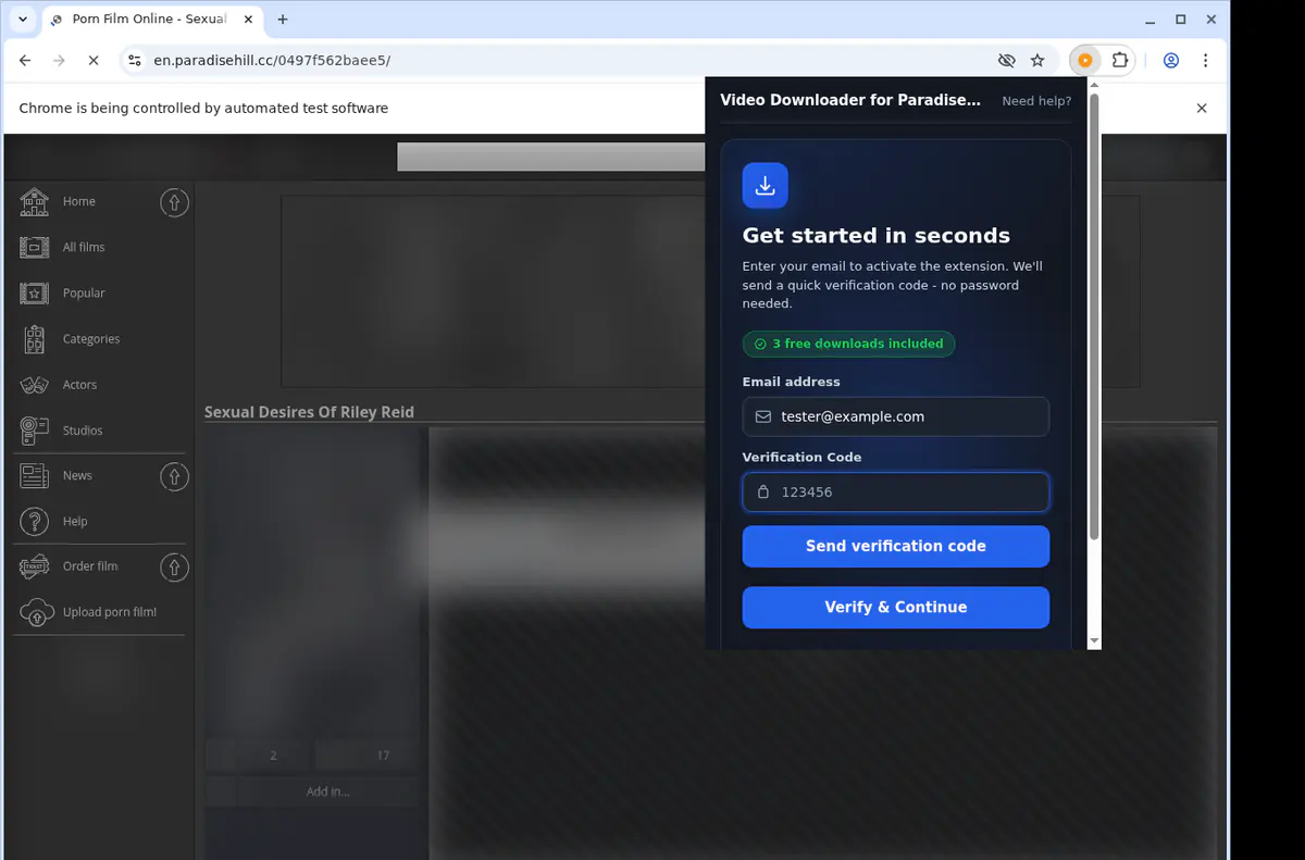 Paradisehill Video Downloader browser extension screenshot 4
