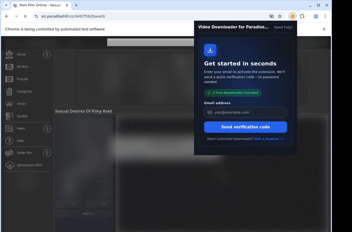 Paradisehill Video Downloader browser extension screenshot 5